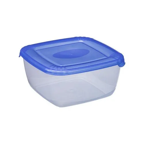 Контейнер для холодильника Plast Team Polar Box 2,5 л КВ с крышкой, пищевой купить в интернет магазине | M555.COM.UA