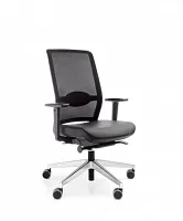 Эргономичное кресло PROFIm Veris Net 101SFL chrom P48PU купить в интернет магазине | M555.COM.UA