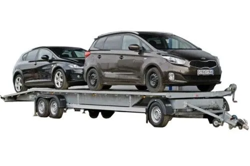 Лафет з поворотною віссю NIEWIADOW Multimax 10.0 3.500 кг